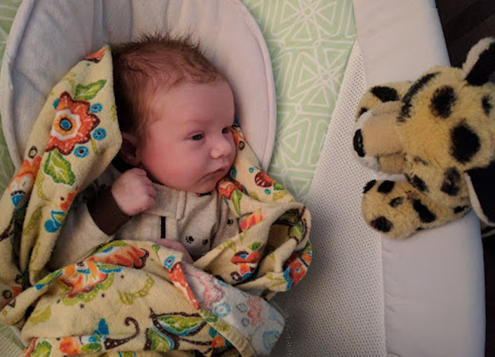 Newborn baby in cradle with blanket and stuffed toy cheetah