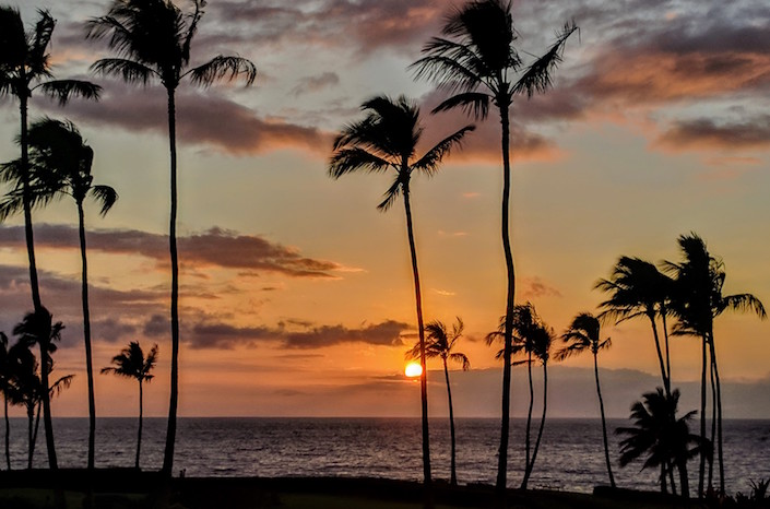 Sunset with ocean and palm trees. 