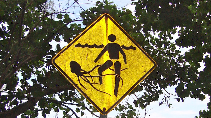 Warning sign about jellyfish