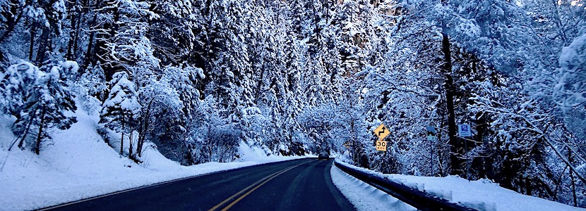road through snowy trees