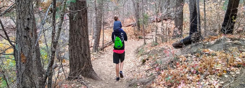 Kids walking in the woods